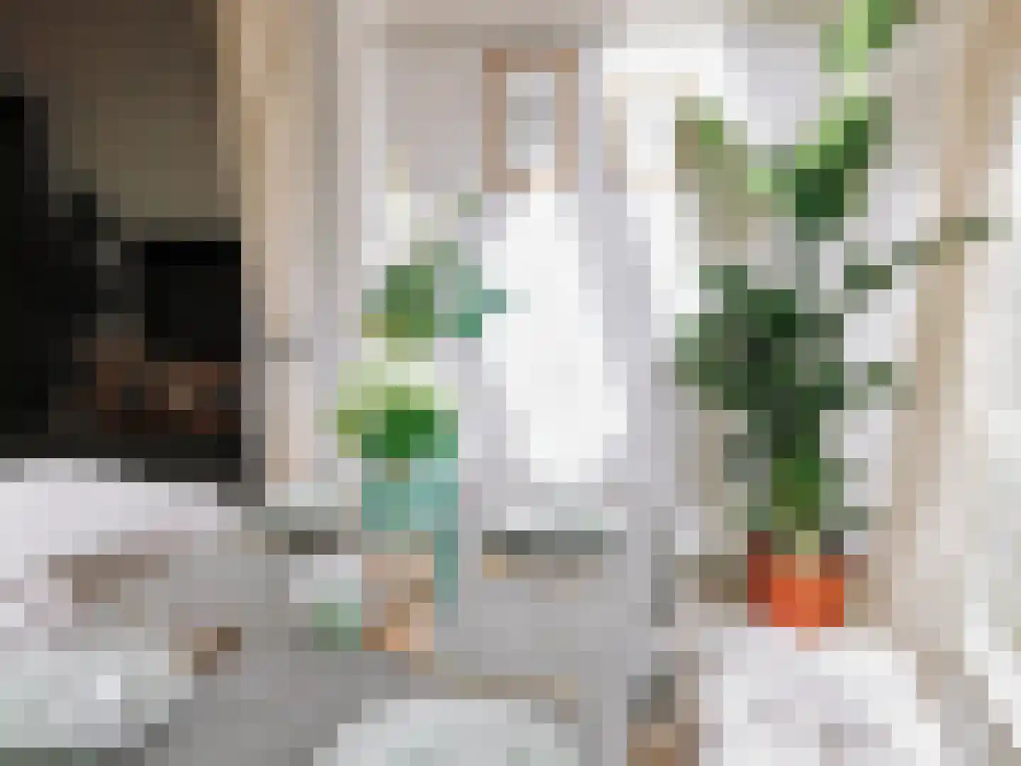 Kolmonderstraat 22 A Wittem thumbnail 21