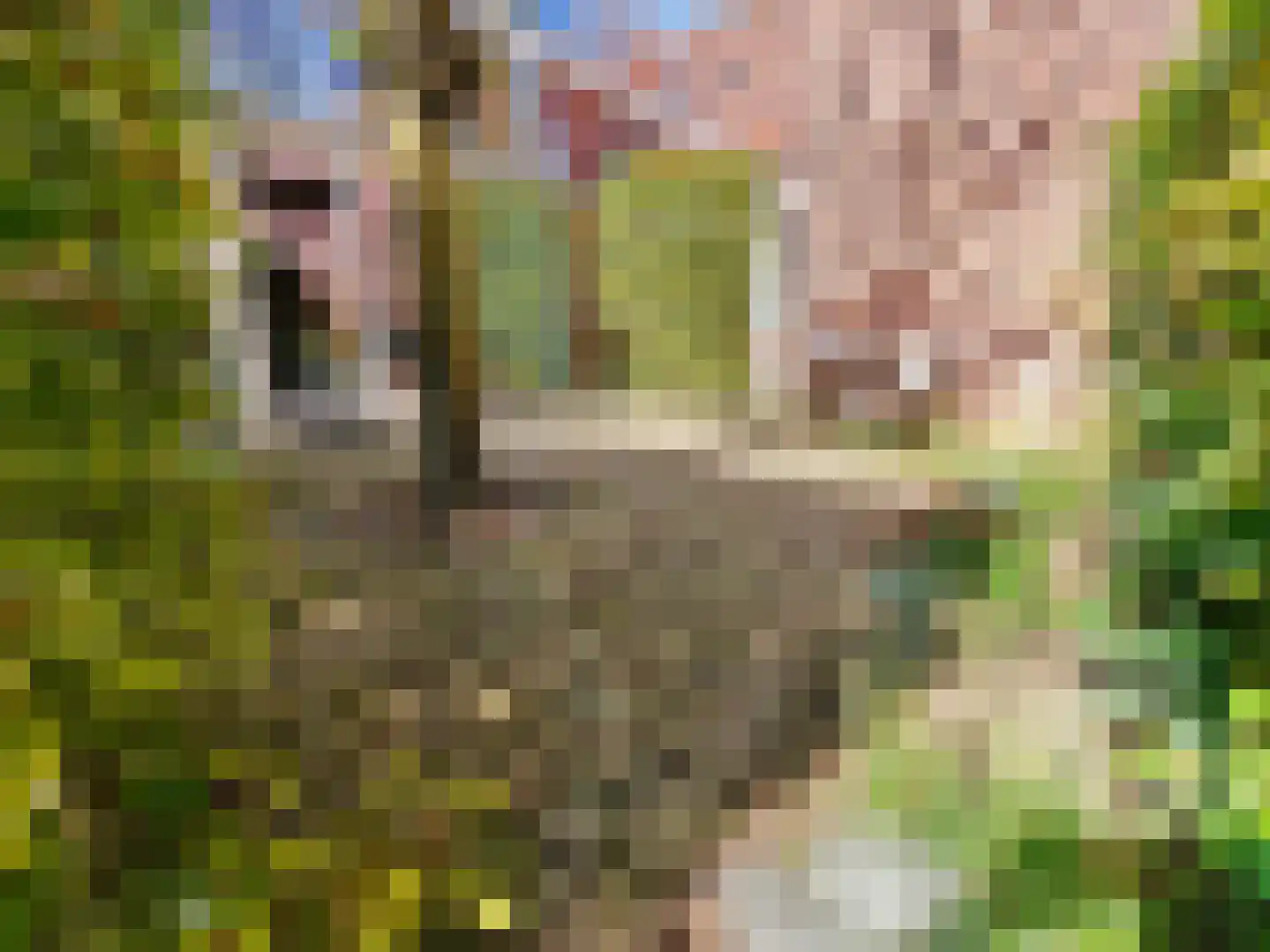 Kolmonderstraat 22 A Wittem thumbnail 30