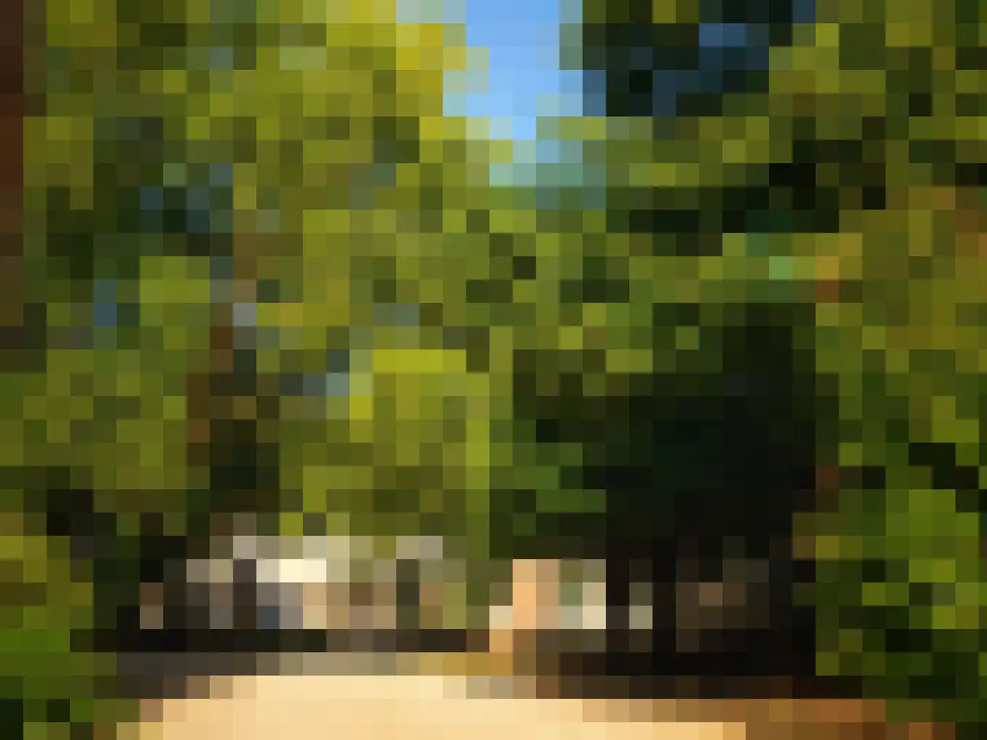 Kolmonderstraat 22 A Wittem thumbnail 37