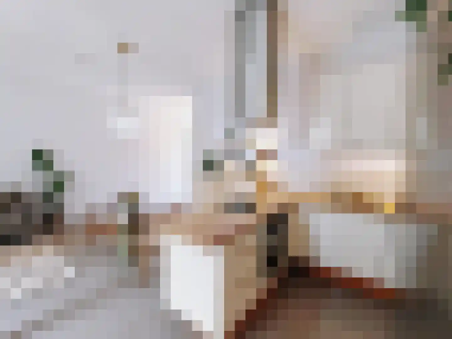 Kolmonderstraat 22 A Wittem thumbnail 9