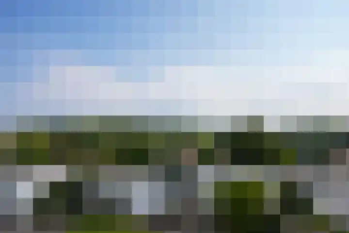 Kolmondstraat 86 d Vaals thumbnail 37