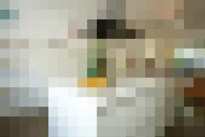 Kolmondstraat 86 d Vaals thumbnail 5