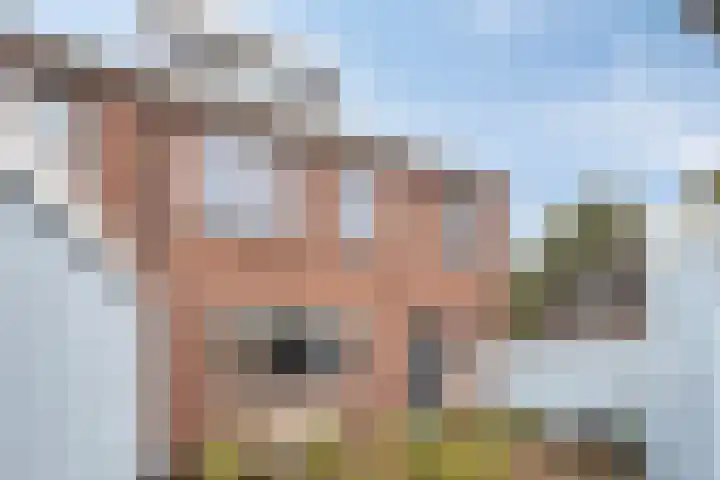 Kolmschotlanden 120 Enschede thumbnail 7