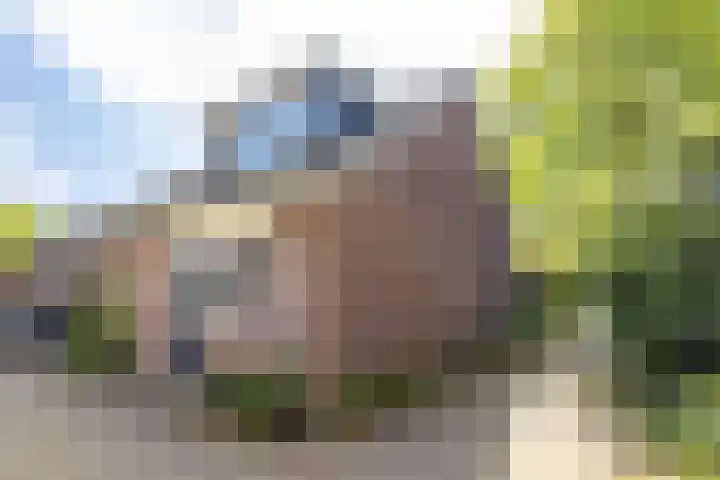 Kolmschotlanden 143 Enschede thumbnail 21