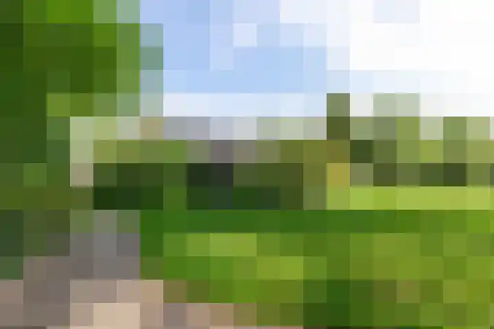 Kolmschotlanden 143 Enschede thumbnail 22