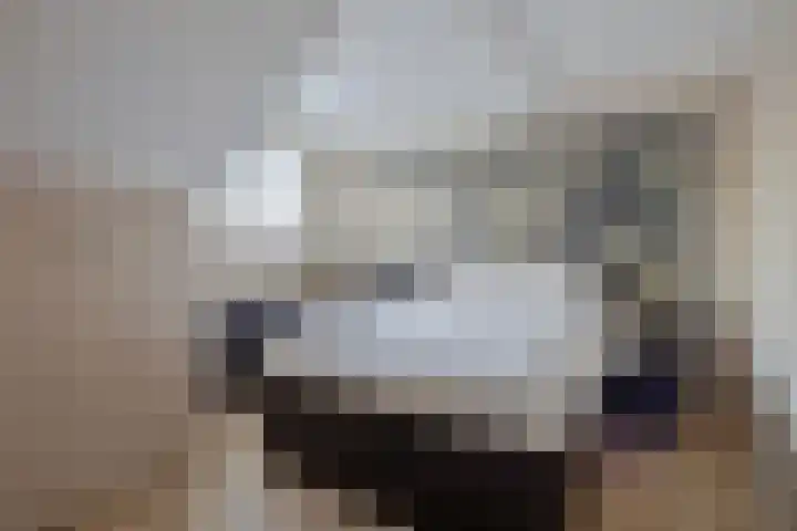 Kolmschotlanden 144 Enschede thumbnail 4