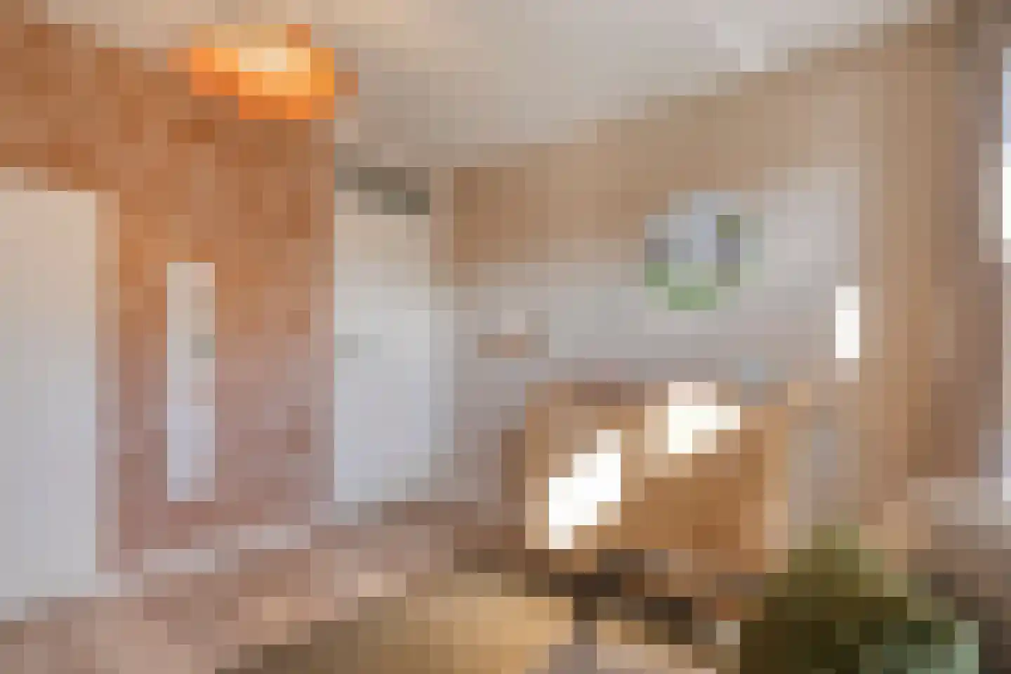 Kolmschotlanden 38 Enschede thumbnail 27