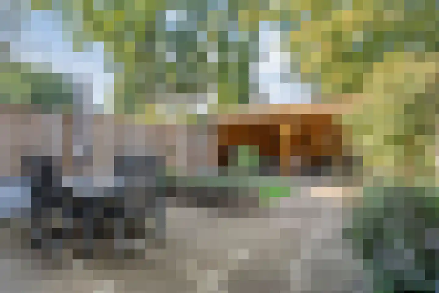 Kolmschotlanden 38 Enschede thumbnail 37
