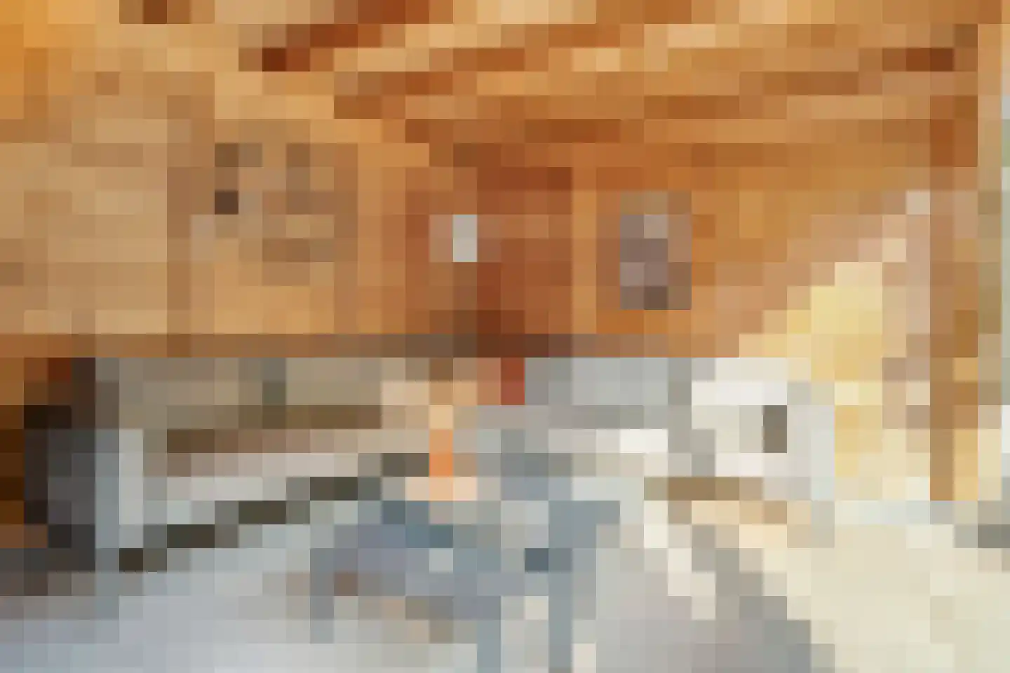 Kolmschotlanden 38 Enschede thumbnail 40
