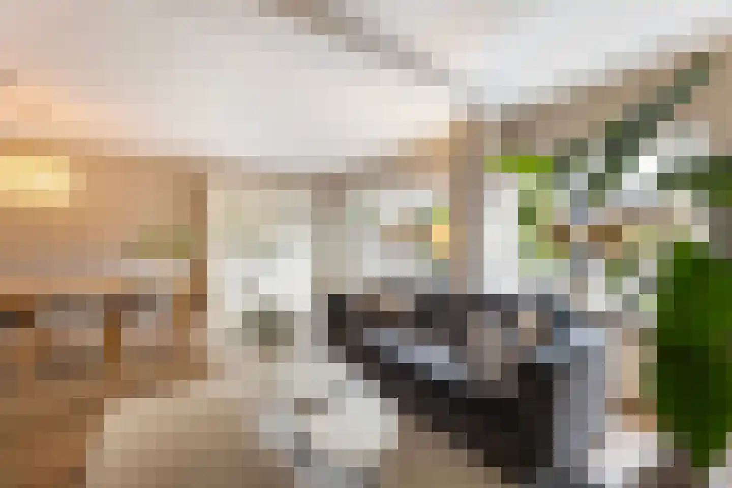 Kolmschotlanden 45 Enschede thumbnail 18