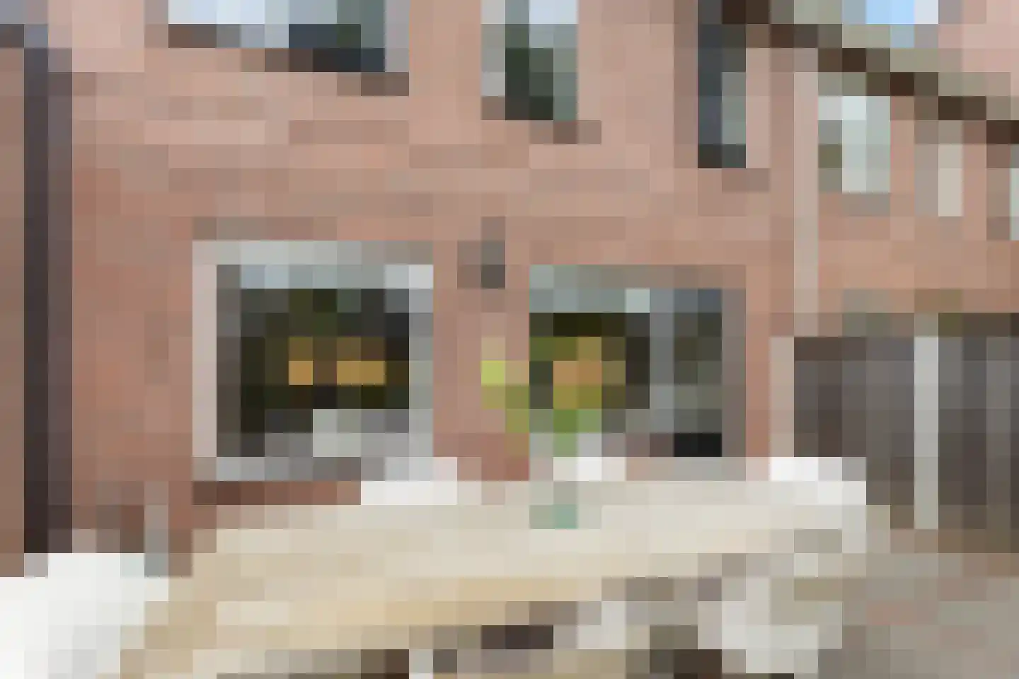 Kolmschotlanden 45 Enschede thumbnail 19
