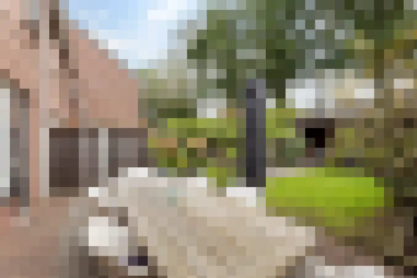 Kolmschotlanden 45 Enschede thumbnail 20