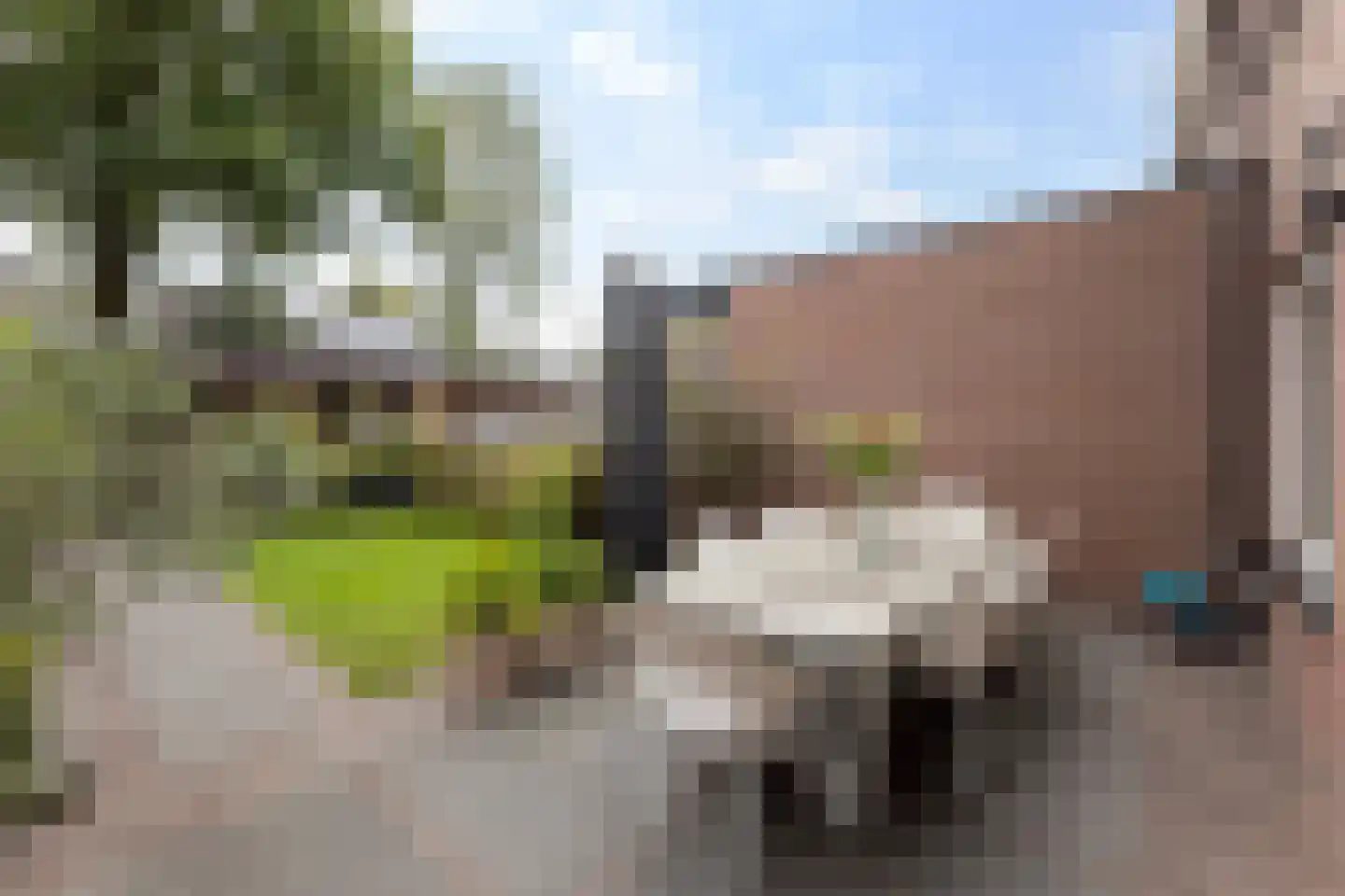 Kolmschotlanden 45 Enschede thumbnail 22