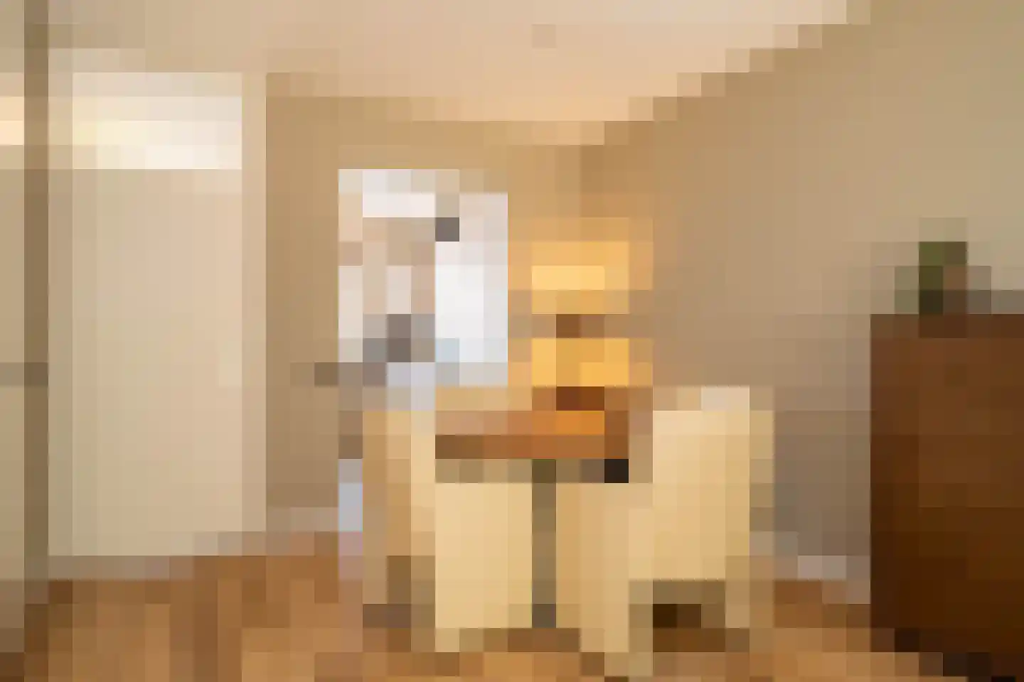 Kolmschotlanden 56 Enschede thumbnail 13