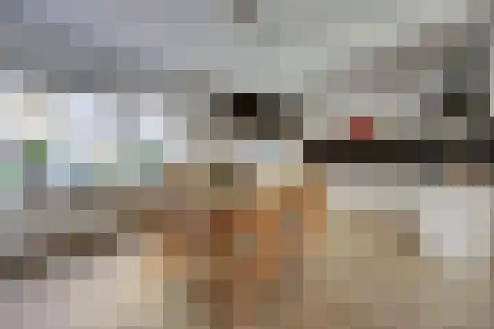 Kolmschotlanden 71 Enschede thumbnail 7