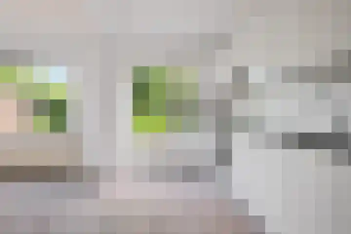 Kolmschotlanden 89 Enschede thumbnail 7