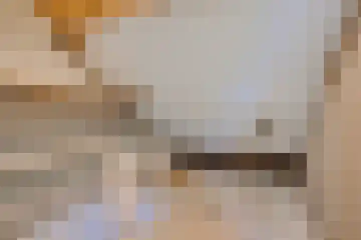 Kolmschotlanden 9 Enschede thumbnail 23