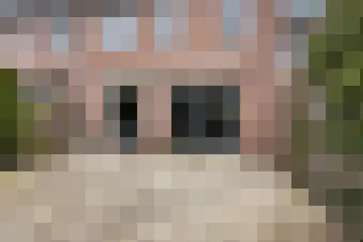 Kolmschotlanden 9 Enschede thumbnail 25