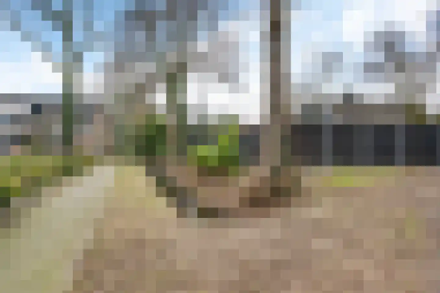 Kolmschotlanden 9 Enschede thumbnail 35