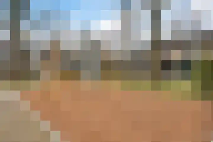 Kolmschotlanden 9 Enschede thumbnail 36