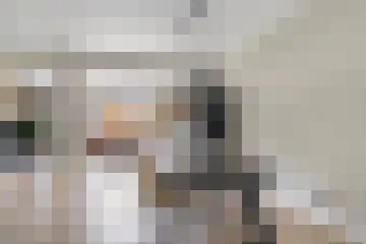 Kolonel 11 Steenwijk thumbnail 14