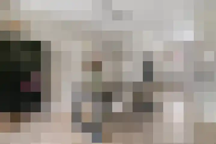 Kolonel 11 Steenwijk thumbnail 15