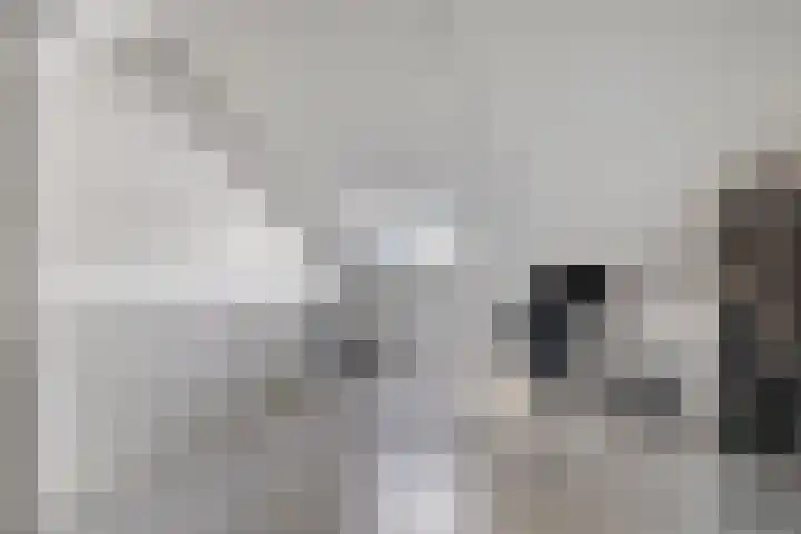 Kolonel 11 Steenwijk thumbnail 22