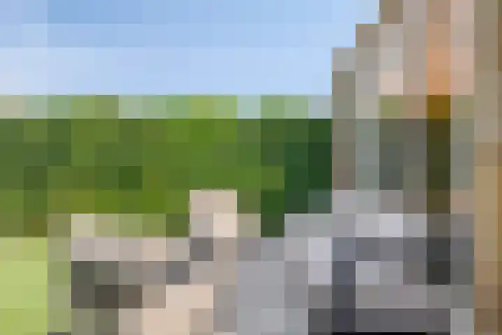Kolonel 11 Steenwijk thumbnail 24