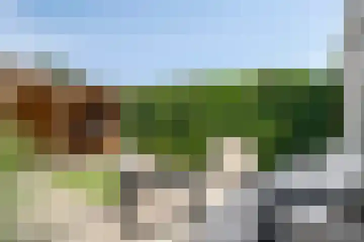 Kolonel 11 Steenwijk thumbnail 25