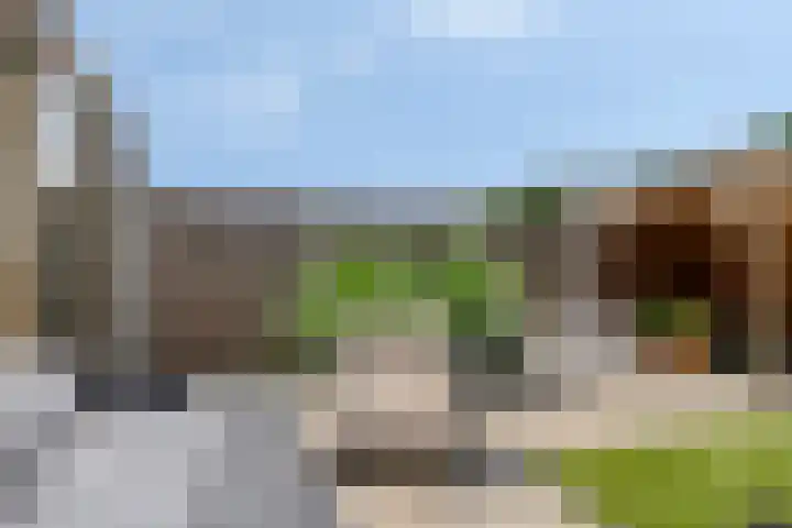 Kolonel 11 Steenwijk thumbnail 26