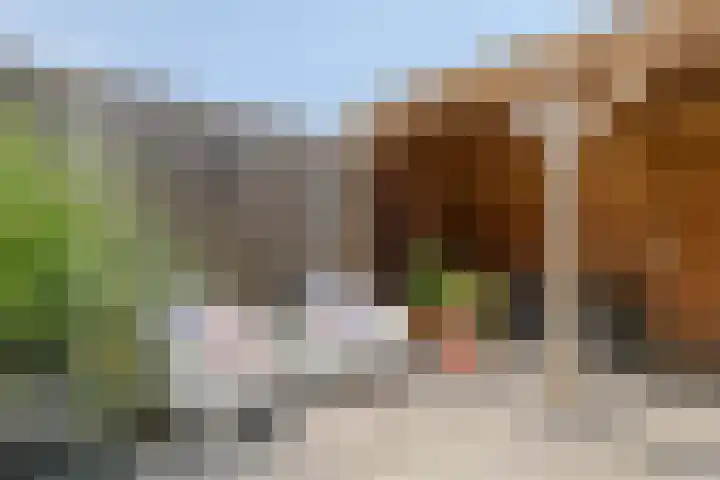 Kolonel 11 Steenwijk thumbnail 28