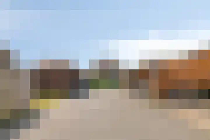 Kolonel 11 Steenwijk thumbnail 32