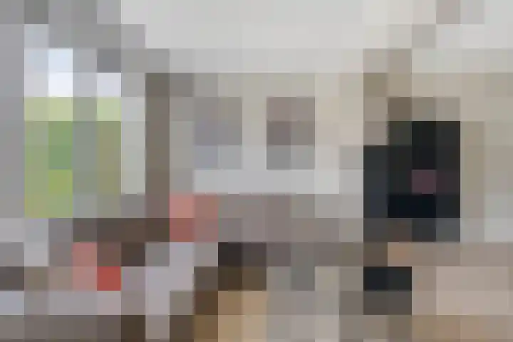 Kolonel 11 Steenwijk thumbnail 6