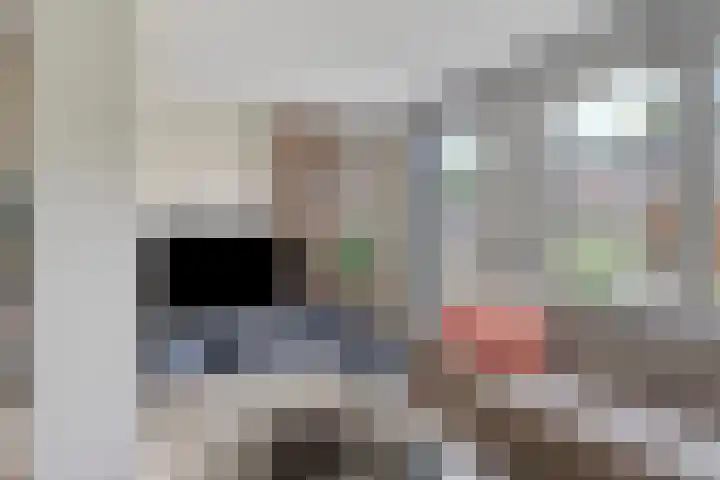 Kolonel 11 Steenwijk thumbnail 8