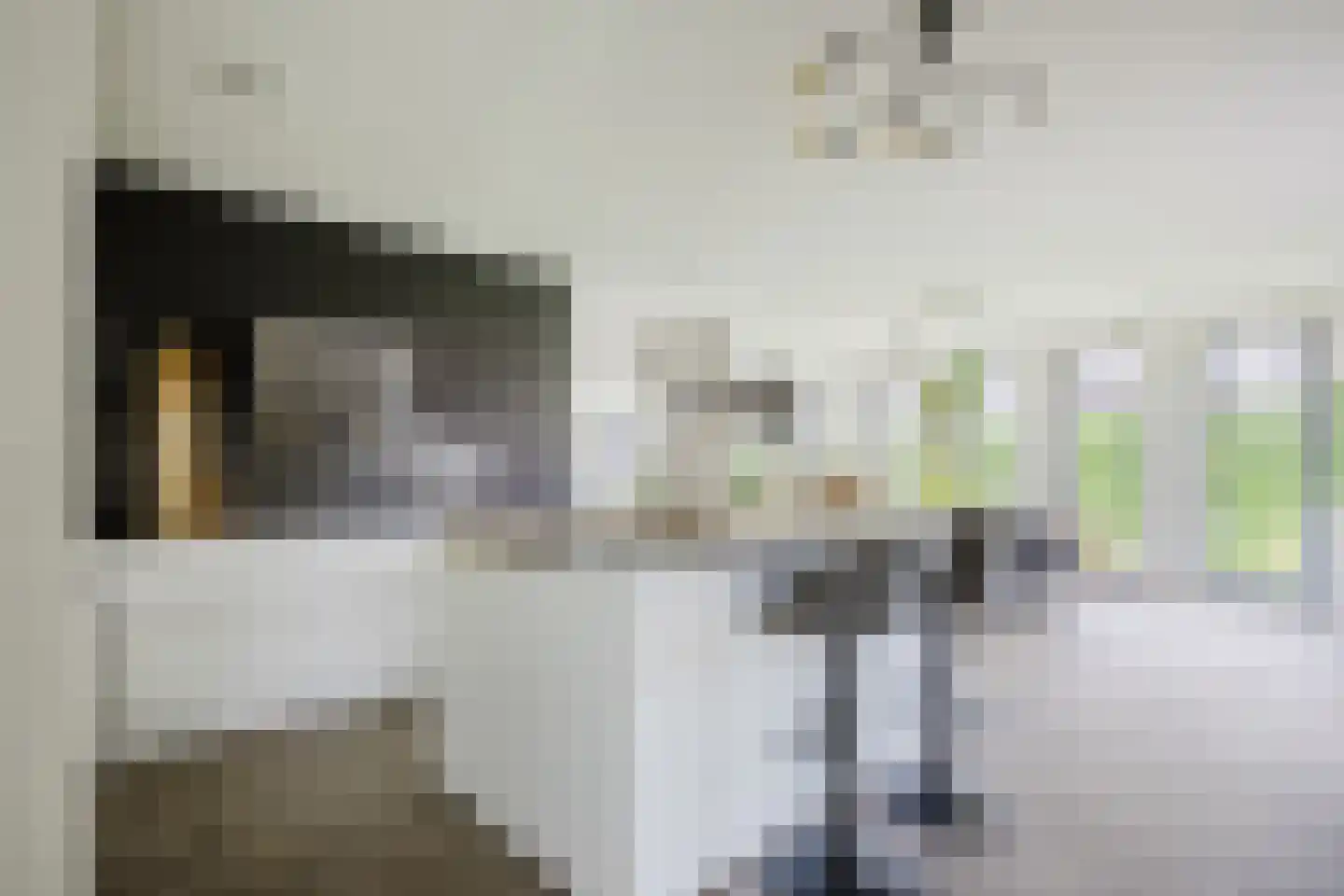 Kolonel 7 Gorinchem thumbnail 11