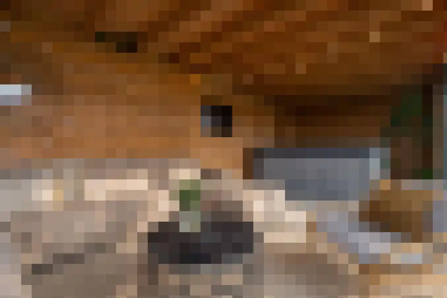 Kolonel 7 Gorinchem thumbnail 13