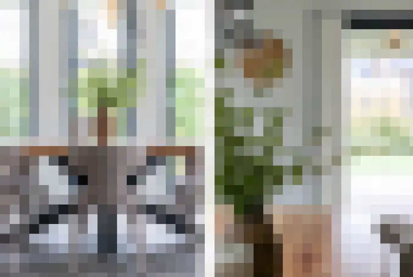 Kolonel 7 Gorinchem thumbnail 5