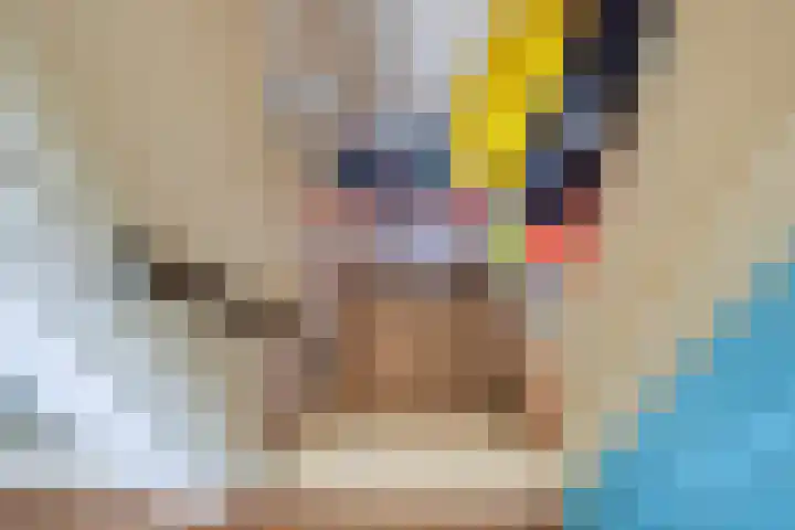 Kolonel Blondeelweg 8 Vlagtwedde thumbnail 10