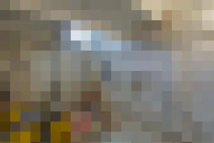 Kolonel Blondeelweg 8 Vlagtwedde thumbnail 12