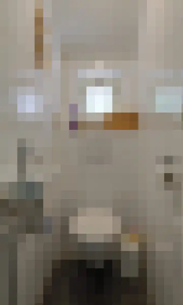 Kolonel Blondeelweg 8 Vlagtwedde thumbnail 19
