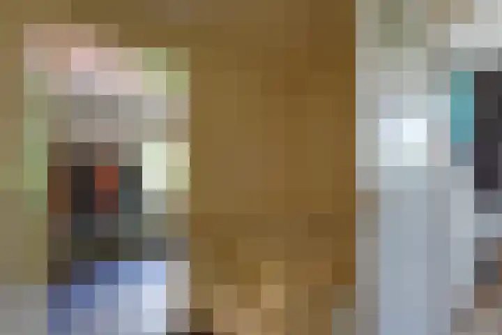 Kolonel Blondeelweg 8 Vlagtwedde thumbnail 21