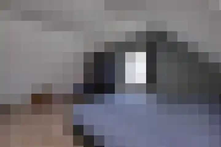 Kolonel Blondeelweg 8 Vlagtwedde thumbnail 25