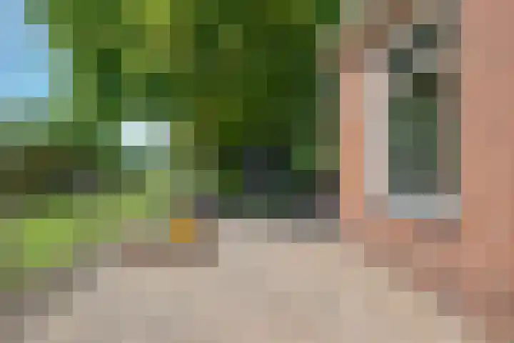 Kolonel Blondeelweg 8 Vlagtwedde thumbnail 28