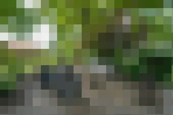 Kolonel Blondeelweg 8 Vlagtwedde thumbnail 29