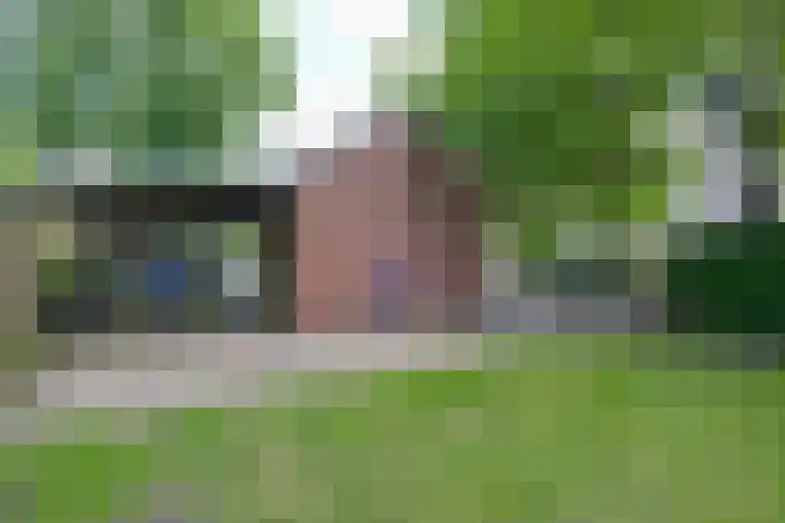 Kolonel Blondeelweg 8 Vlagtwedde thumbnail 30