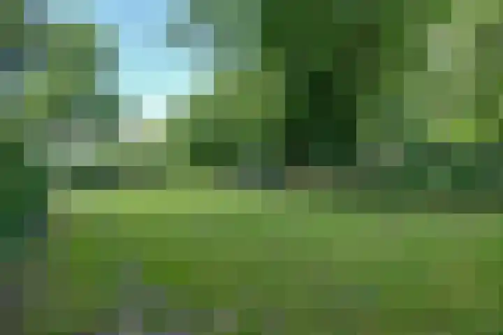 Kolonel Blondeelweg 8 Vlagtwedde thumbnail 31