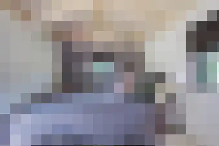 Kolonel Blondeelweg 8 Vlagtwedde thumbnail 36