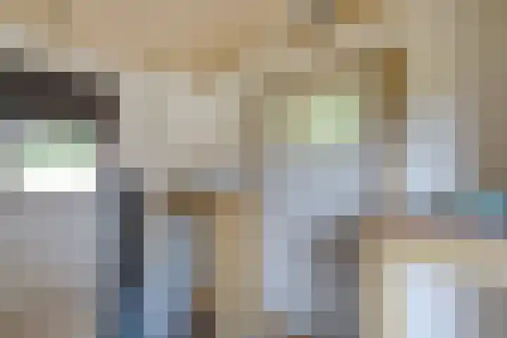 Kolonel Blondeelweg 8 Vlagtwedde thumbnail 37
