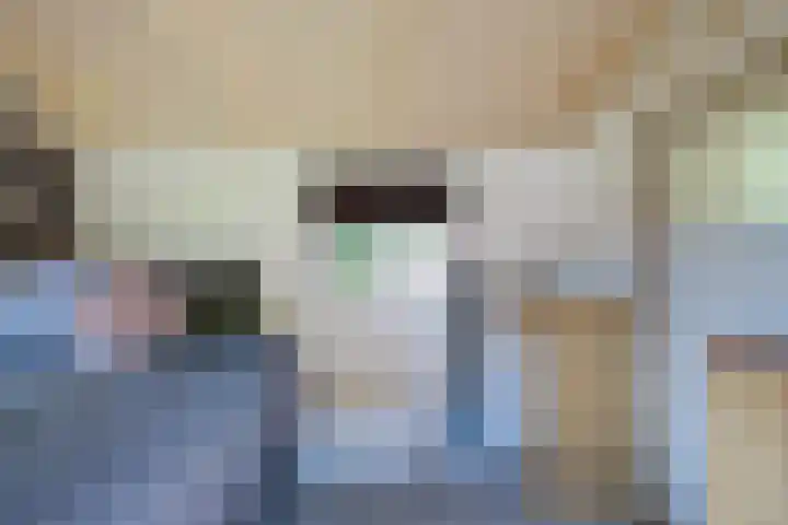 Kolonel Blondeelweg 8 Vlagtwedde thumbnail 38