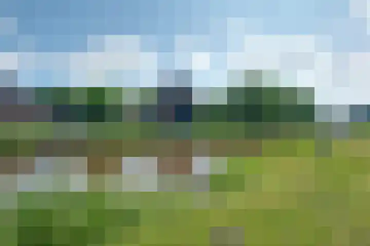 Kolonel Blondeelweg 8 Vlagtwedde thumbnail 4
